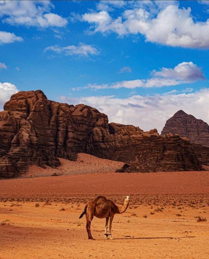 Wadi Rum Red Sand Camp Ngoại thất bức ảnh