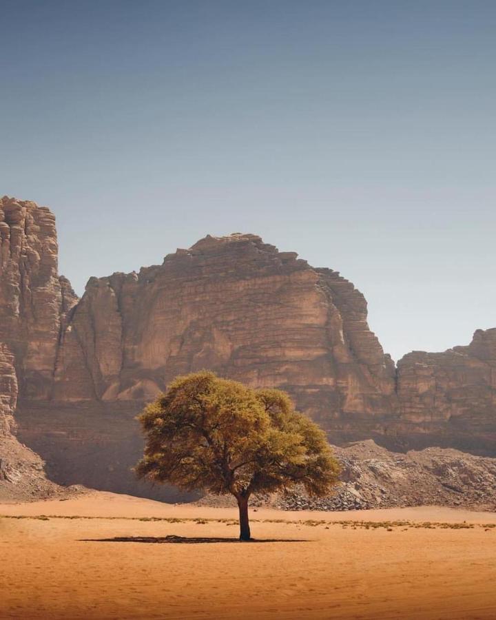 Wadi Rum Red Sand Camp Ngoại thất bức ảnh